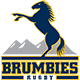 Brumbies Rugby Jersey – ACT Brumbies Rugby Shirts | RugbyJerseyStore