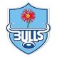 Bulls Rugby Jersey – Blue Bulls Rugby Shirts | RugbyJerseyStore