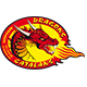 Catalans Dragons Jersey – Dragons Rugby League Shirts