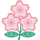 Japan Rugby