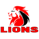 Lions Rugby Jersey – Lions Rugby Shirts | RugbyJerseyStore