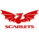 Scarlets Rugby Jersey – Scarlets Rugby Shirts | RugbyJerseyStore