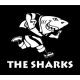 Sharks Rugby Jersey – Sharks Rugby Shirts | RugbyJerseyStore