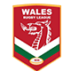 Wales Rugby League Jersey – Wales RL Shirts
