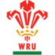 Wales Rugby Jersey – Wales Rugby Shirts | RugbyJerseyStore