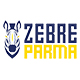 Zebre Parma Rugby Jersey – Zebre Rugby Shirts | RugbyJerseyStore