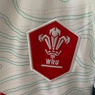 Wales 2025/26 Away Jersey Mens