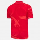 Wales Mens Match Day Rugby Jersey 2022