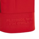 Wales Men Match Day Rugby Jersey 2023