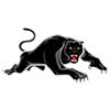 Penrith Panthers